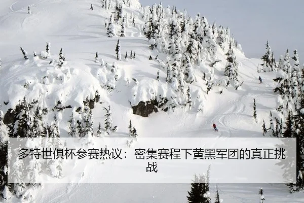 duo-te-shi-ju-bei-can-sai-re-yi-mi-ji-sai-cheng-xia-huang-hei-jun-tuan-de-zhen-zheng-tiao-zhan-2-461.jpg